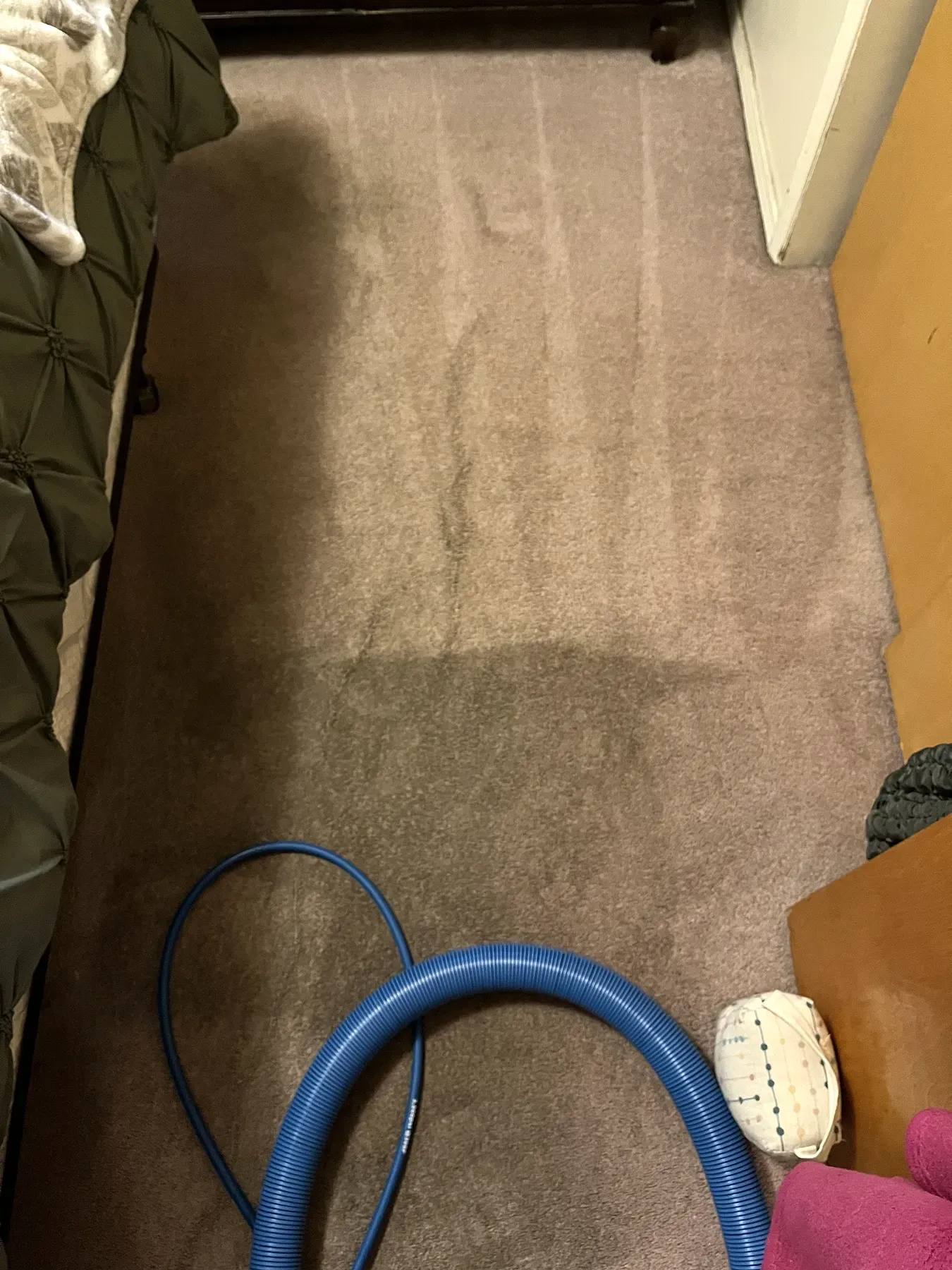 Bedroom carpet partway through cleaning, with a clear line between the cleaned and uncleaned carpet