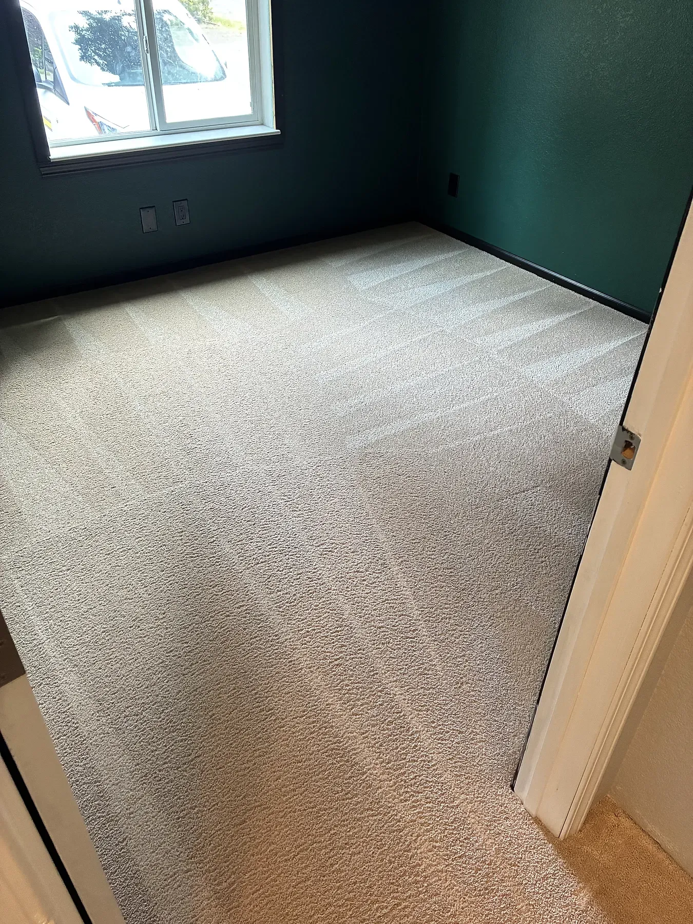Bedroom carpet freshly cleaned, with dark green walls