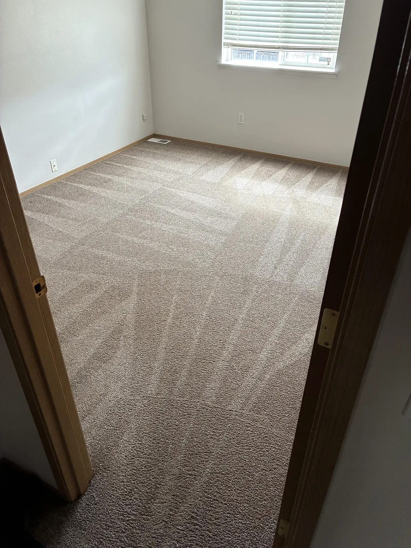 Bedroom carpet freshly cleaned