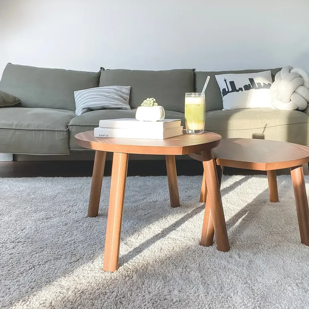Freshly cleaned carpet
