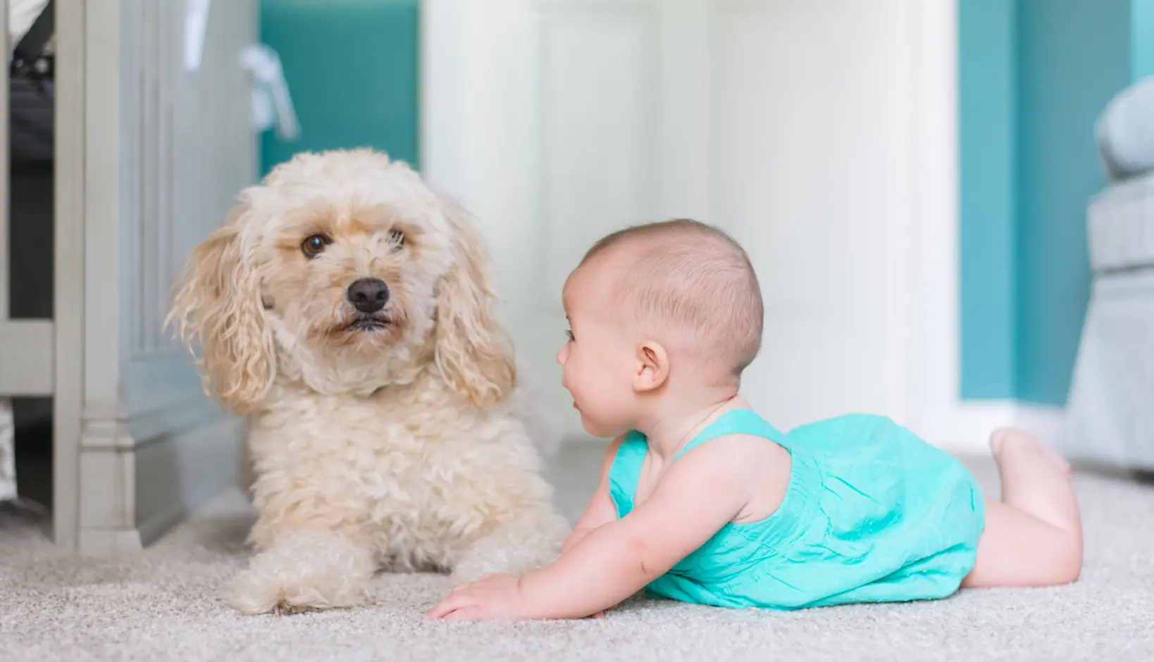 baby and dog playing on carpet